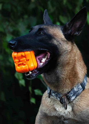 Jack O' Lantern Dog Toy - Durable Halloween Chew Toy for Large Dogs | USA Made