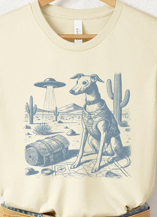 Italian Greyhound Whippet Desert Survey T-Shirt
