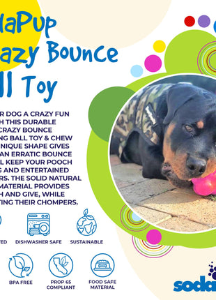 Crazy Bounce Rubber Dog Chew Toy for Power Chewers | Retrieving Ball | USA Made
