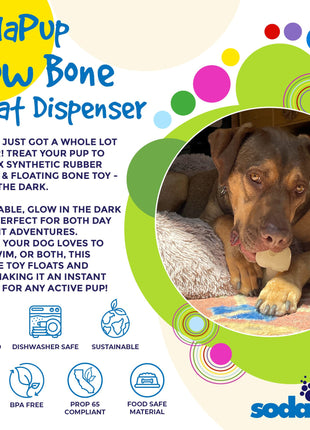 PUP-X Rubber Bone Dog Toy - Durable, Floats, Chew Toy for Large Dogs | USA