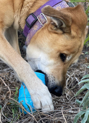 Ice Cream Cone Rubber Dog Chew Toy for Power Chewers | USA Made | SodaPup