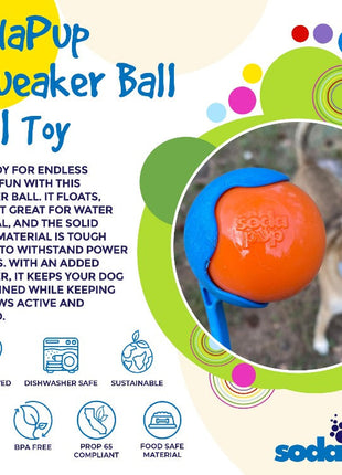 Squeak Ball - Durable Squeaky Dog Toy, Floats, Chew Toy | USA Made