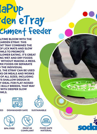 Garden Design eTray - Shallow Slow Feeder Dog Bowl for Enrichment | USA