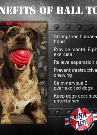 USA-K9 Stars and Stripes Rubber Dog Toy | K9 Handler Reward Toy | Red | USA Made