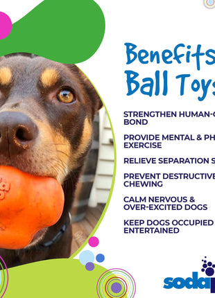 Crazy Bounce Rubber Dog Chew Toy for Power Chewers | Retrieving Ball | USA Made