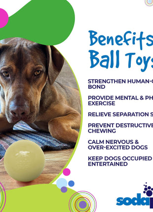 Squeak Ball - Durable Squeaky Dog Toy, Floats, Chew Toy | USA Made