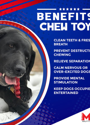 Christmas Tree Nylon Dog Chew Toy for Aggressive Chewers | USA Made & FDA Compliant