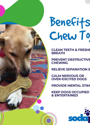Bone eChew Ultra Durable Nylon Dog Chew Toy for Aggressive Chewers | USA Made