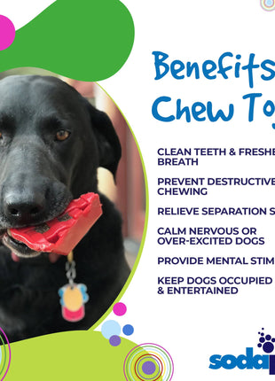 Cherry Pie Nylon Dog Chew Toy for Aggressive Chewers | USA Made | SodaPup