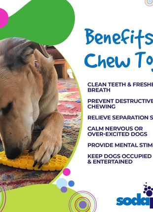 Corn on the Cob Nylon Dog Toy for Aggressive Chewers | USA Made | SodaPup