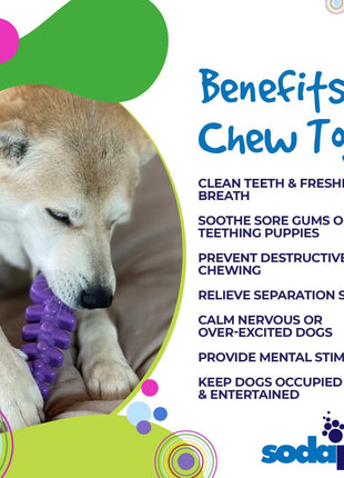 Fish Bone Nylon Dog Toy for Aggressive Chewers | USA Made | SodaPup