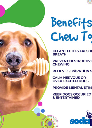 Honey Bone Nylon Dog Toy for Aggressive Chewers | Indestructible | USA Made
