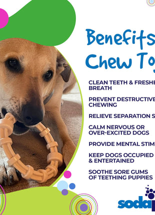 Chicken Flavored Teething Ring for Puppies & Aggressive Chewers | USA Made
