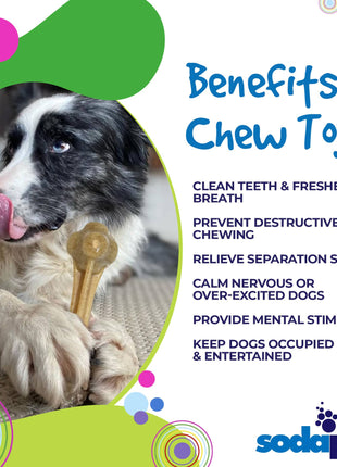 Knuckle Bone Nylon Dog Chew Toy for Aggressive Chewers | Made in USA