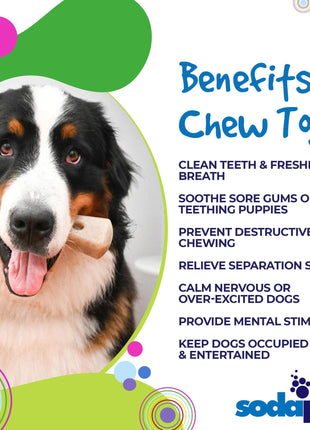 MOD Bone Nylon Dog Chew Toy for Aggressive Chewers | USA Made