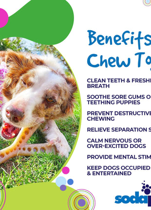 MOD Wishbone Nylon Dog Chew Toy for Aggressive Chewers | USA Made