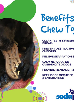 Peanut Nylon Dog Chew Toy | Ultra-Durable for Aggressive Chewers | SodaPup