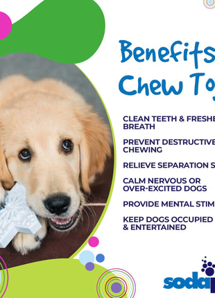 Snowflake Nylon Dog Chew Toy for Aggressive Chewers | USA Made & FDA Compliant