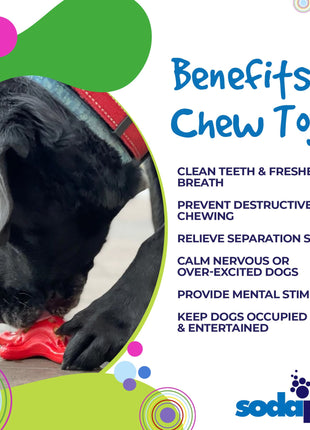 Starfish Nylon Dog Chew Toy for Aggressive Chewers | USA Made | SodaPup