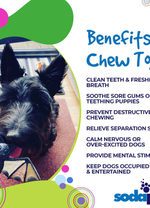 Vampire Bat Nylon Dog Chew Toy for Aggressive Chewers | USA Made & FDA Compliant