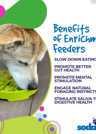 Four Seasons eTray - Shallow Slow Feeder Dog Bowl for Enrichment | USA Made