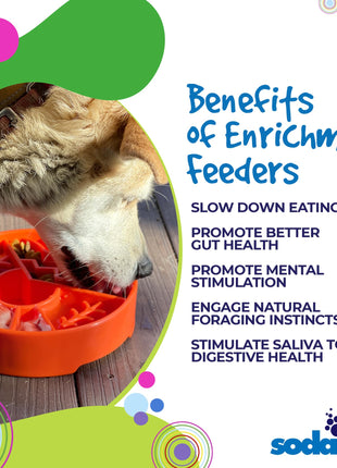 Great Outdoors eBowl - Slow Feeder Dog Bowl & Enrichment | USA Made