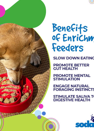 Santa Christmas eBowl Deep Slow Feeder Dog Bowl for Enrichment | USA Made