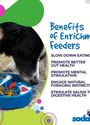 Wave eBowl Deep Slow Feeder Dog Bowl for Enrichment | Made in USA