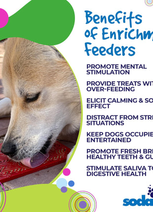 Love eMat - Enrichment Lick Mat for Dogs and Cats| Heart Design | SodaPup