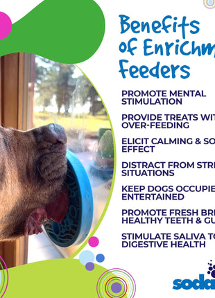 Turtle eMat-Mini Lick Mat with Suction Cups - Small Dogs & Cats | USA