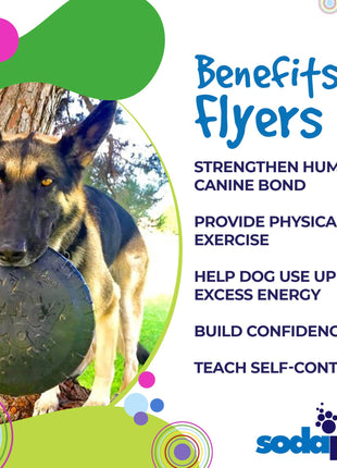 Magnum Bottle Top Flyer Rubber Frisbee for Heavy Chewers | Large | USA Made