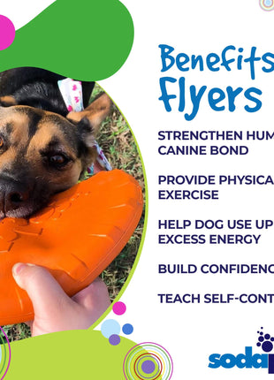 Bottle Top Flyer Rubber Frisbee for Dogs | Orange | Vet Approved | USA Made