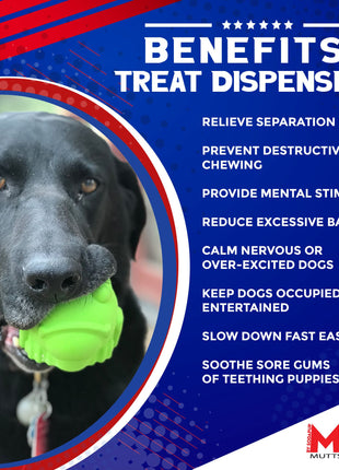 Bull Frog Dog Chew Toy & Treat Dispenser - USA Made | SodaPup