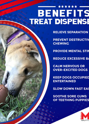Football Dog Chew Toy & Treat Dispenser - USA Made | SodaPup