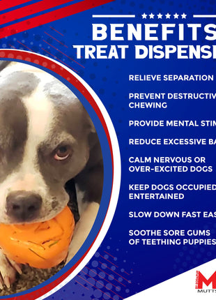Roasted Turkey Dog Chew Toy & Treat Dispenser - USA Made | SodaPup