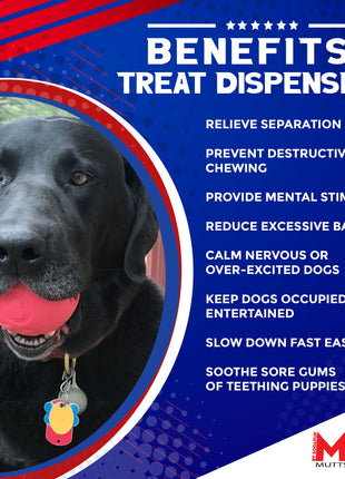 Sugar Skull Dog Chew Toy & Treat Dispenser - USA Made | SodaPup