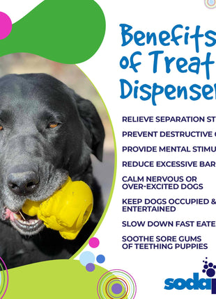 Honey Bear eDispenser - Durable Rubber Treat Dispenser for Dogs | USA Made