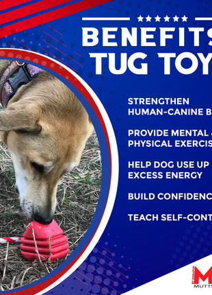 Heart on a String Dog Toy - Durable Rubber Tug Toy for Large Dogs | USA Made