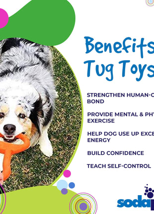 Pop Top Rubber Tug Toy for Interactive Play | Heavy Chewers | USA Made | SodaPup