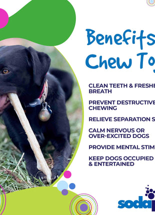 Durable Nylon Chew Stick for Power Chewers | Indestructible Dog Toy USA