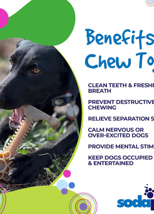 Honey Bone Dental Flower Tower - Indestructible Nylon Dog Chew Toy XL | USA