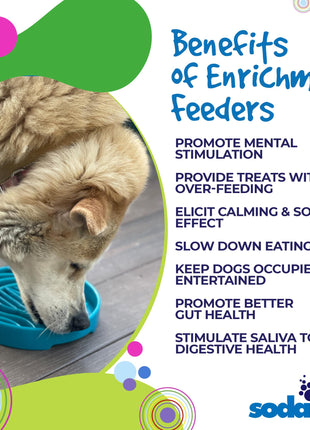 Baja Design eTray - Shallow Slow Feeder Dog Bowl for Enrichment | USA Made