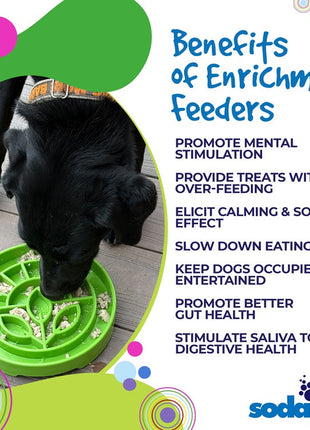 Garden Design eTray - Shallow Slow Feeder Dog Bowl for Enrichment | USA