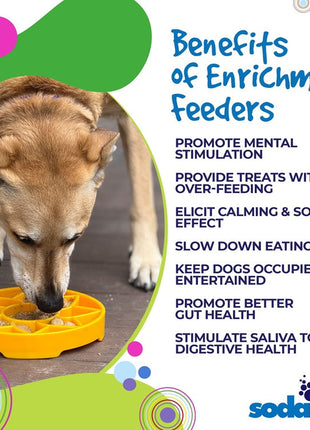Sunflower eTray Shallow Slow Feeder Dog Bowl for Enrichment | USA Made