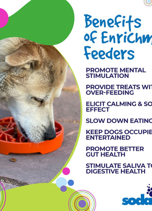 Sun and Moon eTray - Shallow Slow Feeder Dog Bowl for Enrichment | USA Made