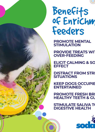 Earth eCoin Nylon Lick Mat for Dogs | USA Made Enrichment Toy | SodaPup