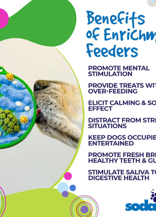 Water Nylon eCoin Durable Enrichment Snacking Coin for Dogs | USA-Made Lick Mat Alternative