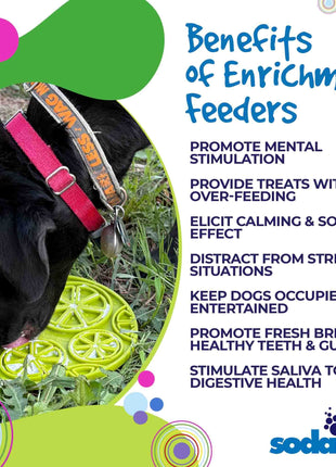 Citrus Design eMat - Enrichment Lick Mat For Dogs and Cats - with Suction Cups | USA Made