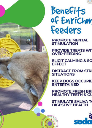 Sun n' Sea eMat - Enrichment Lick Mat For Dogs and Cats - With Suction Cups - Beach Design | USA Made