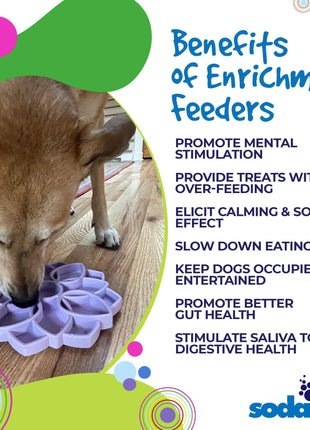 Mandala Softie eTray Shallow Slow Feeder Dog Bowl with Suction Cups |  USA Made